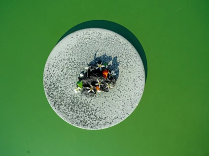 Light Lunch in Wine Resort: L’Aperitivo Creativo Vista Lago a Lazise 4